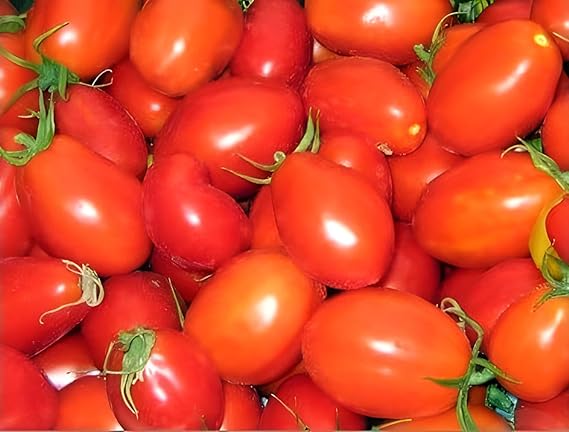 Purple Red Tomato Seeds for Planting – Heirloom, Non-GMO, Organic Garden Seeds, High Germination