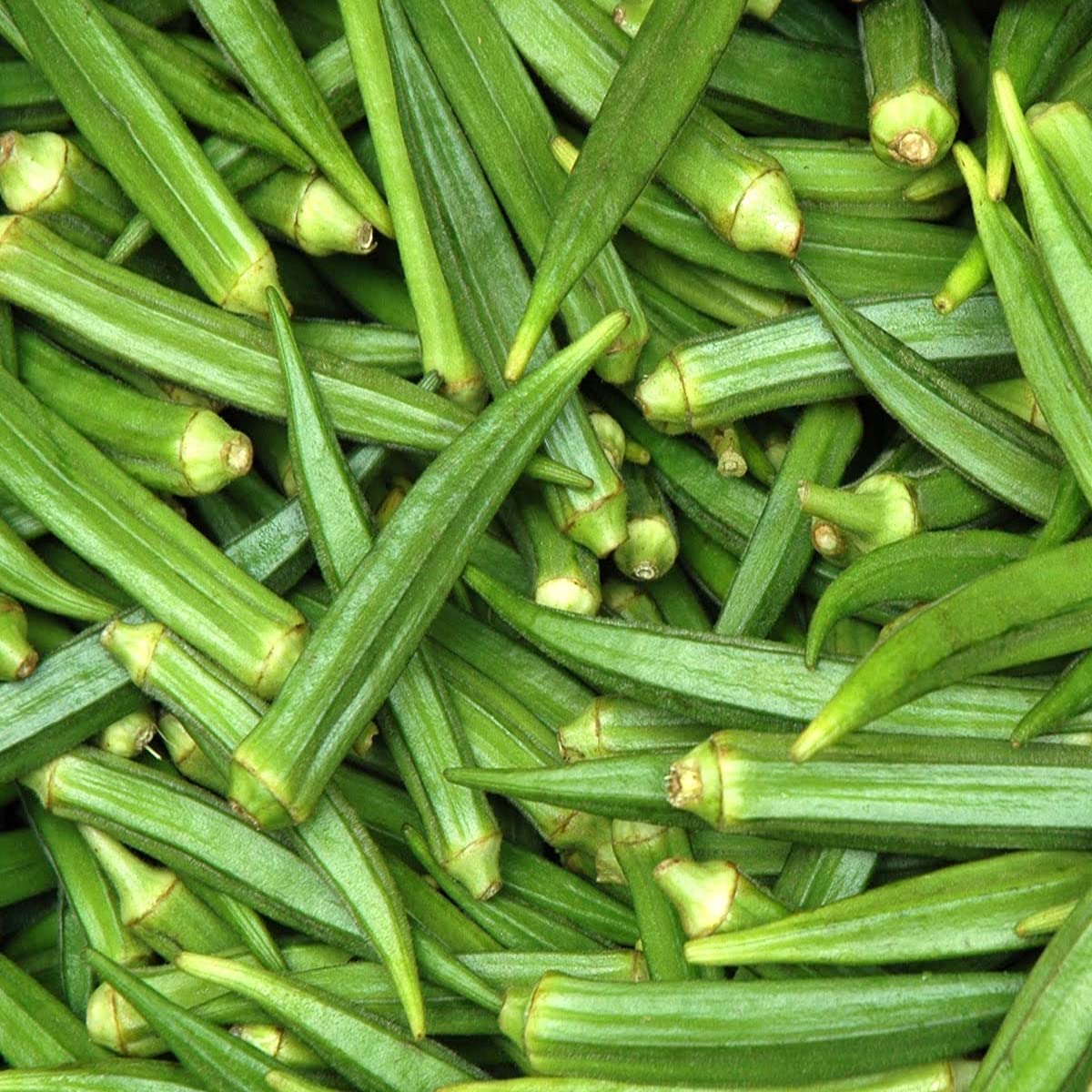 Okra (Winter Variety) Seeds for Planting – Heirloom, Non-GMO Vegetable Seeds for Home Garden, High Yield & Heat Tolerant Variety