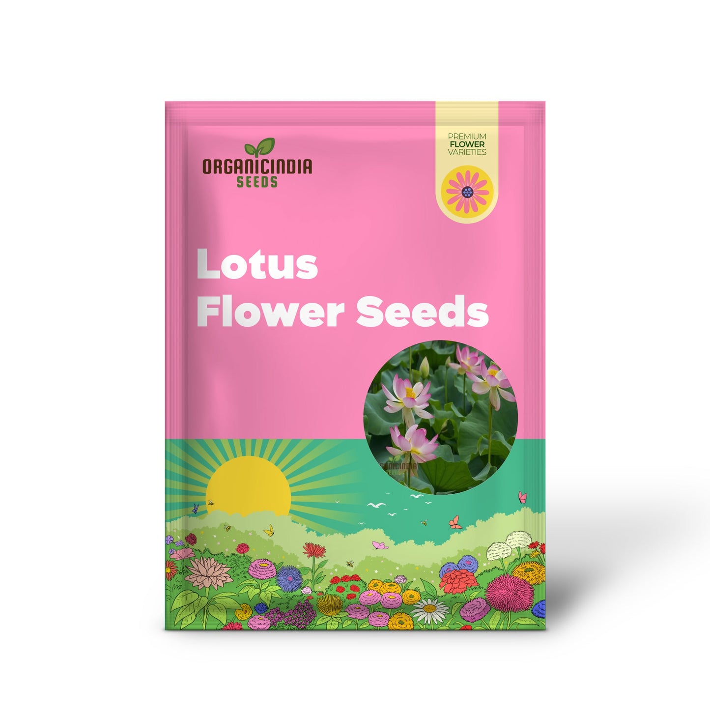 Nelumbo Nucifera, Lotus (Mixed Colors) Seeds Grow Your Own Stunning and Varied Lotus Flowers