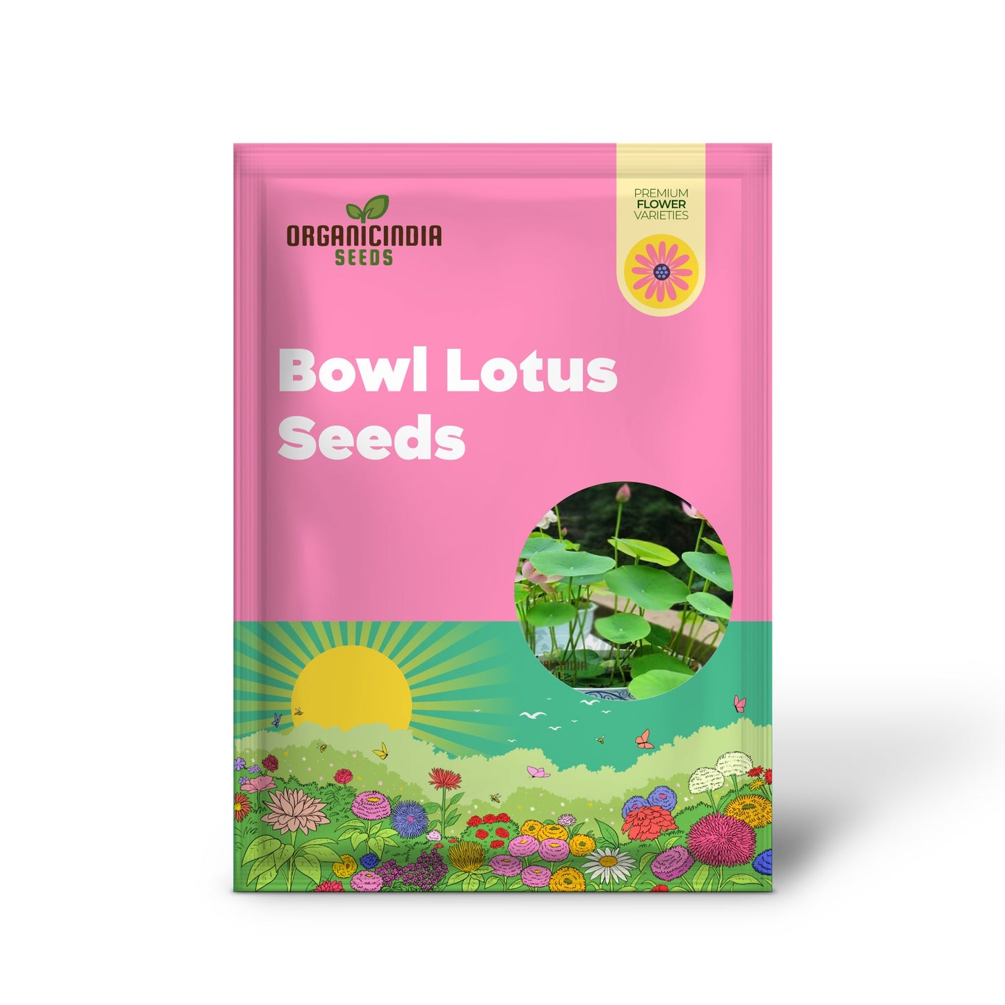 Mixed Bowl Lotus Seeds for Planting Perfect for Water Gardens