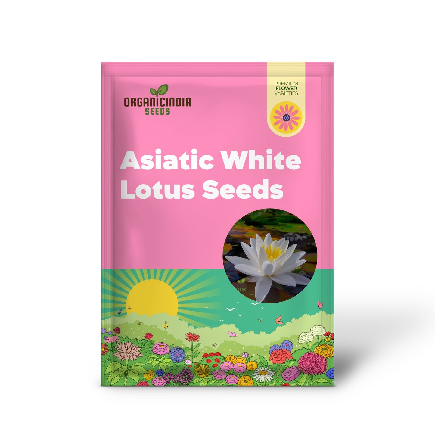 Asiatic White Lotus Seeds for Planting All Seasons, Easy to Grow, Perfect for Gardening
