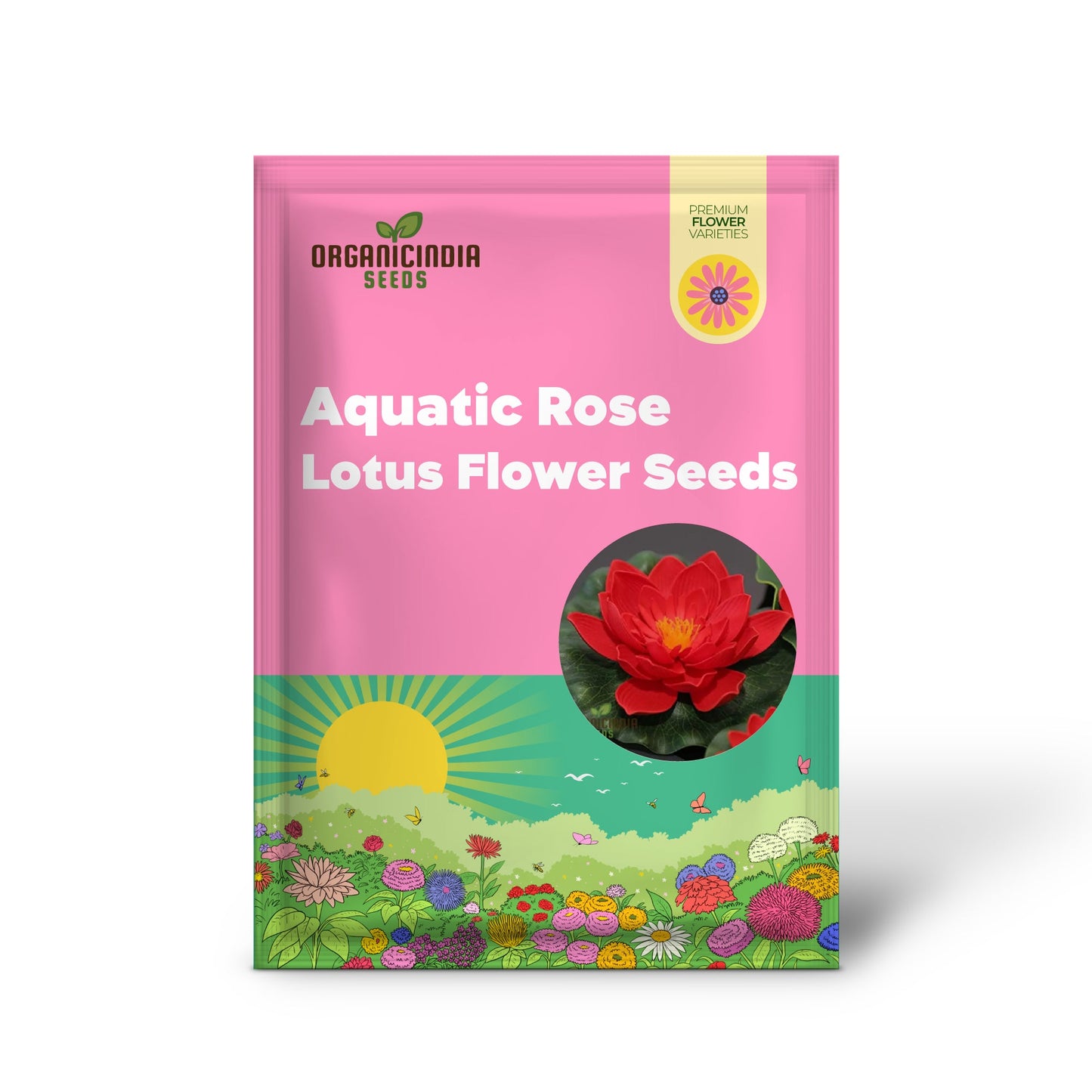Exotic Aquatic Rose Red Lotus Flower Seeds for Home Aquatic Garden Planting, Gardening, Aquatic Plants, Seeds