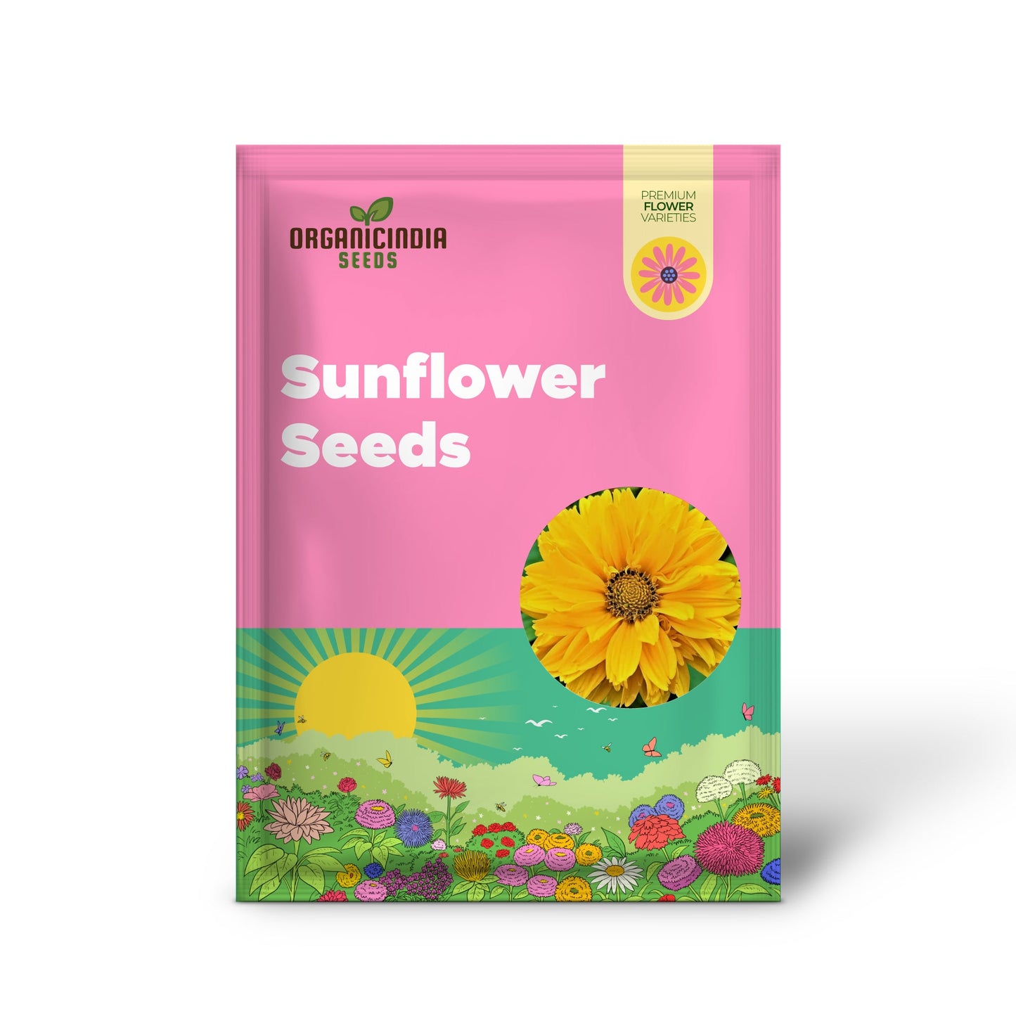 False Sunflower Seeds - Heliopsis Helianthoides, Perennial with Bright, Cheerful Blooms