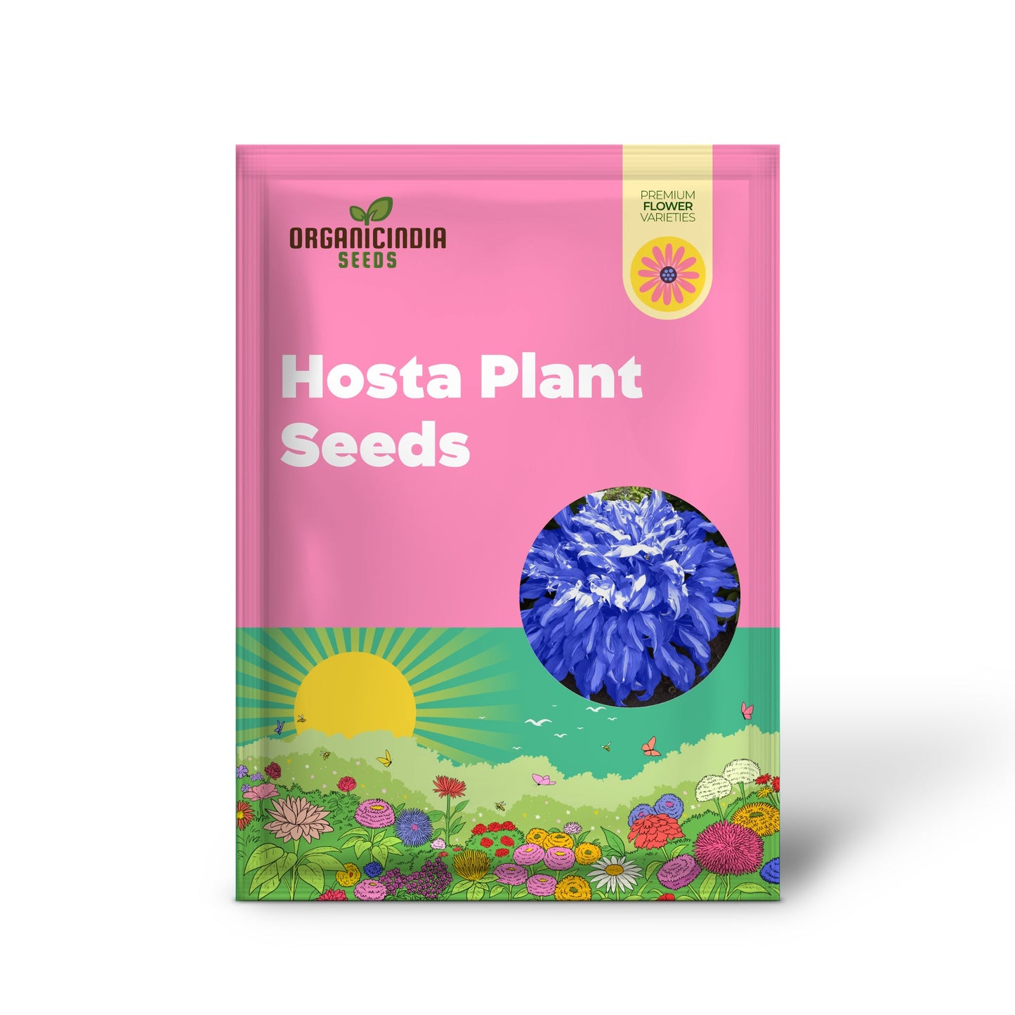 Perennial Blue Hosta Seeds, Premium Hosta Seeds for Outdoor Garden Planting