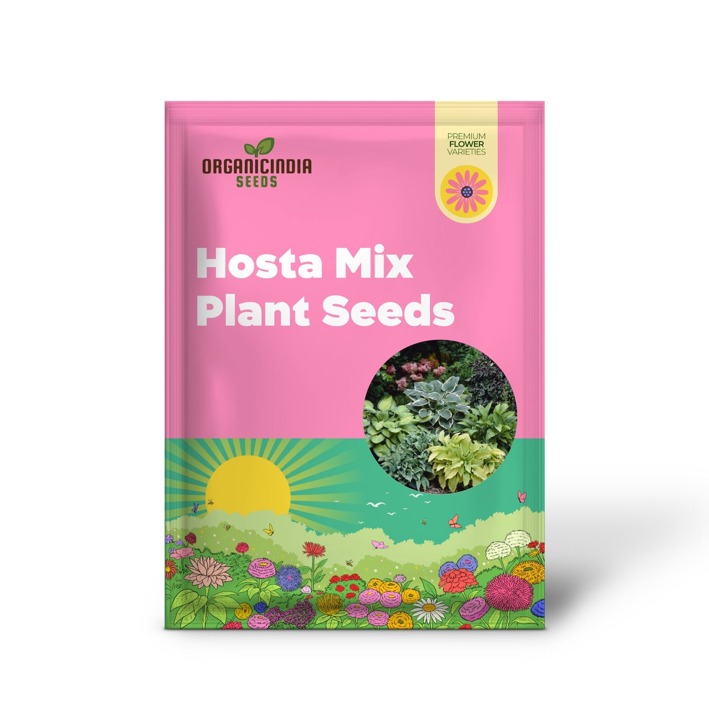 Hosta Mix Plant Seeds, Vibrant Hardy Perennials for Shade, Easy to Grow And Maintain