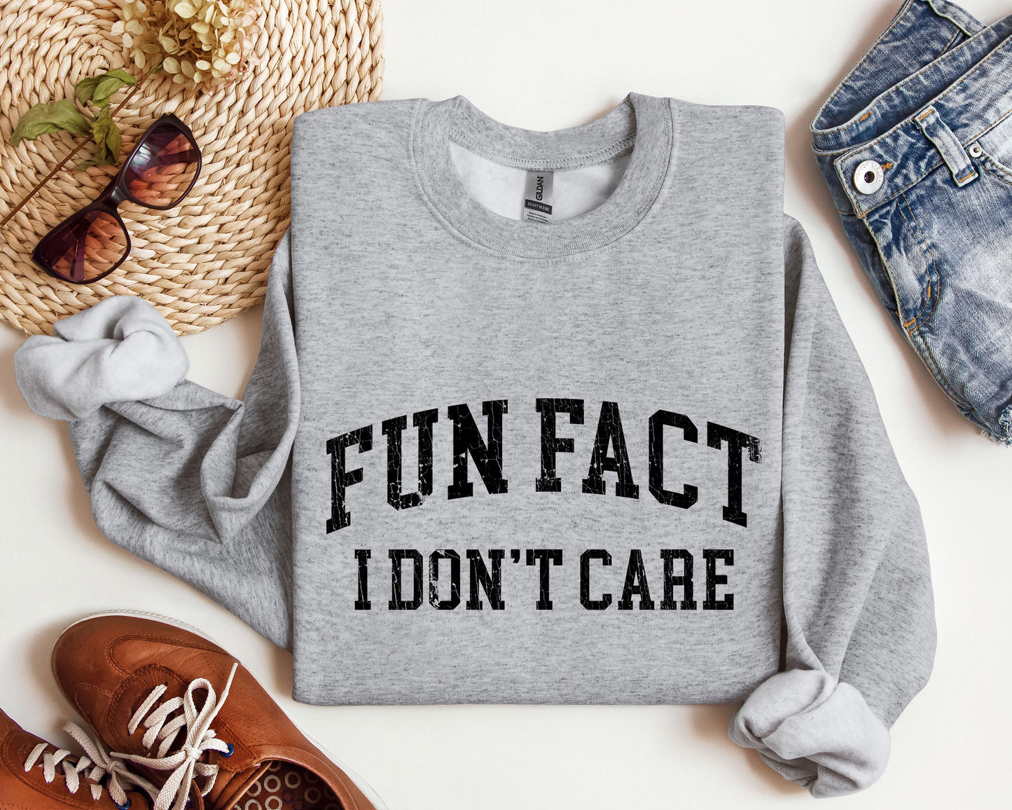 Fun Fact I Don't Care Funny Sweatshirt, Sarcastic College Sweatshirt
