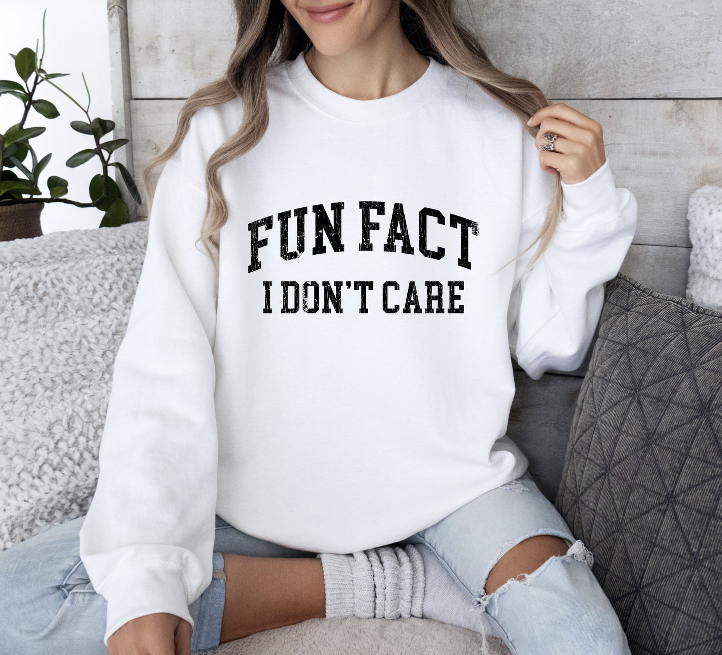 Fun Fact I Don't Care Funny Sweatshirt, Sarcastic College Sweatshirt