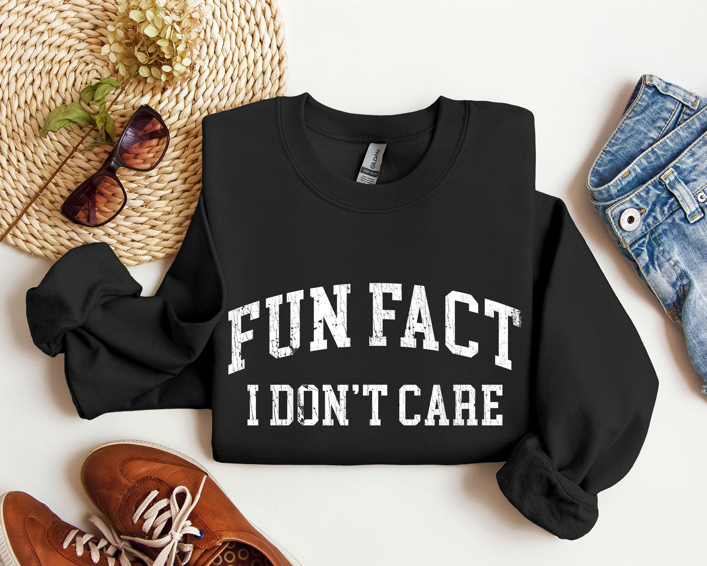 Fun Fact I Don't Care Funny Sweatshirt, Sarcastic College Sweatshirt