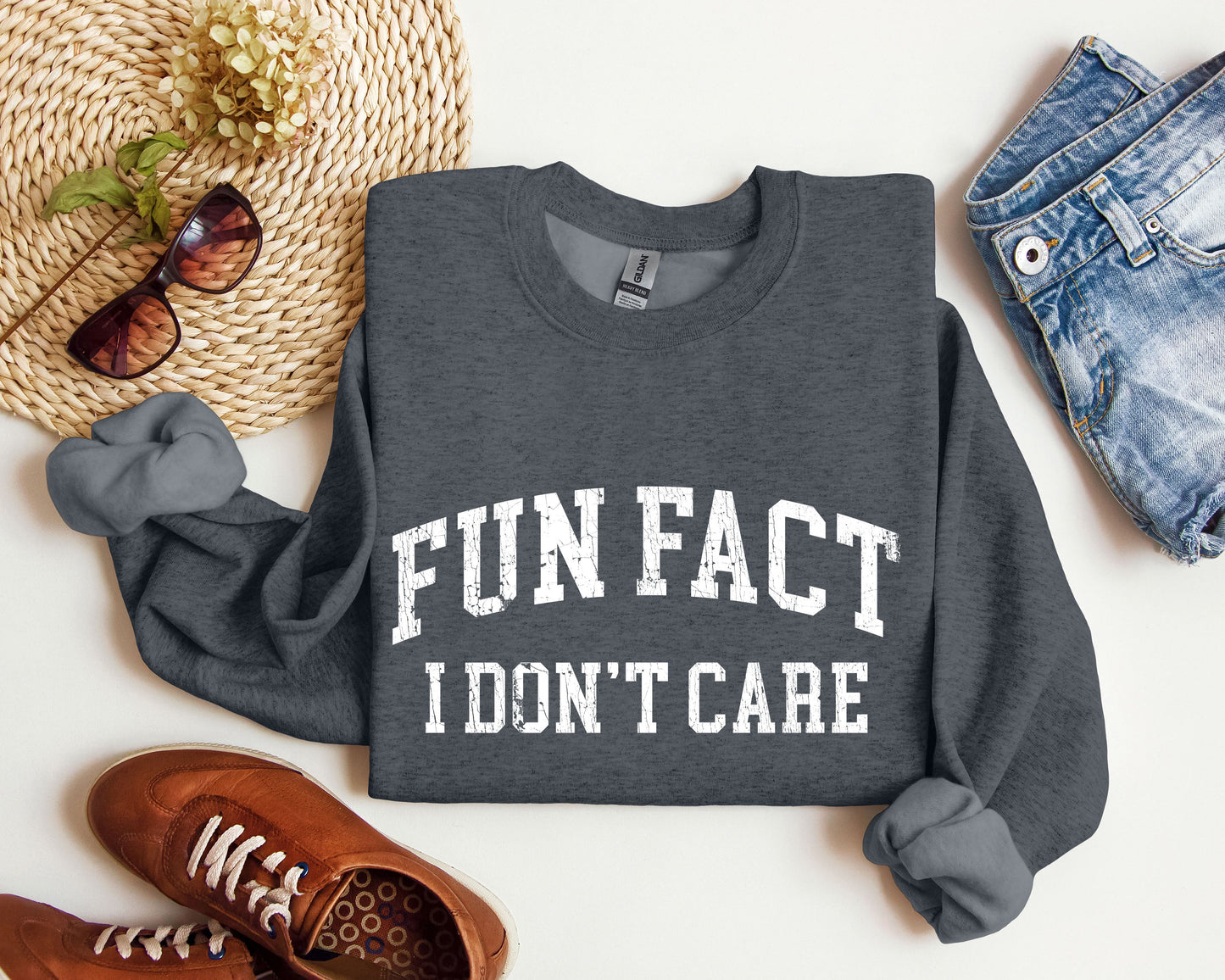 Fun Fact I Don't Care Funny Sweatshirt, Sarcastic College Sweatshirt