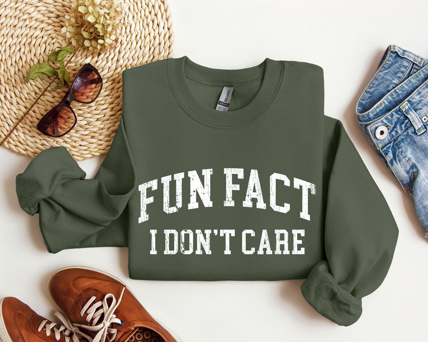 Fun Fact I Don't Care Funny Sweatshirt, Sarcastic College Sweatshirt
