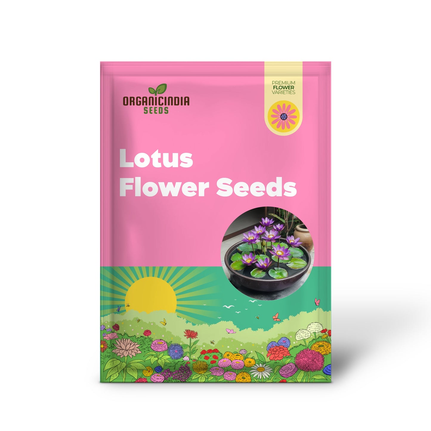 Premium Purple Lotus Flower Seeds, Grow Stunning Aquatic Blooms
