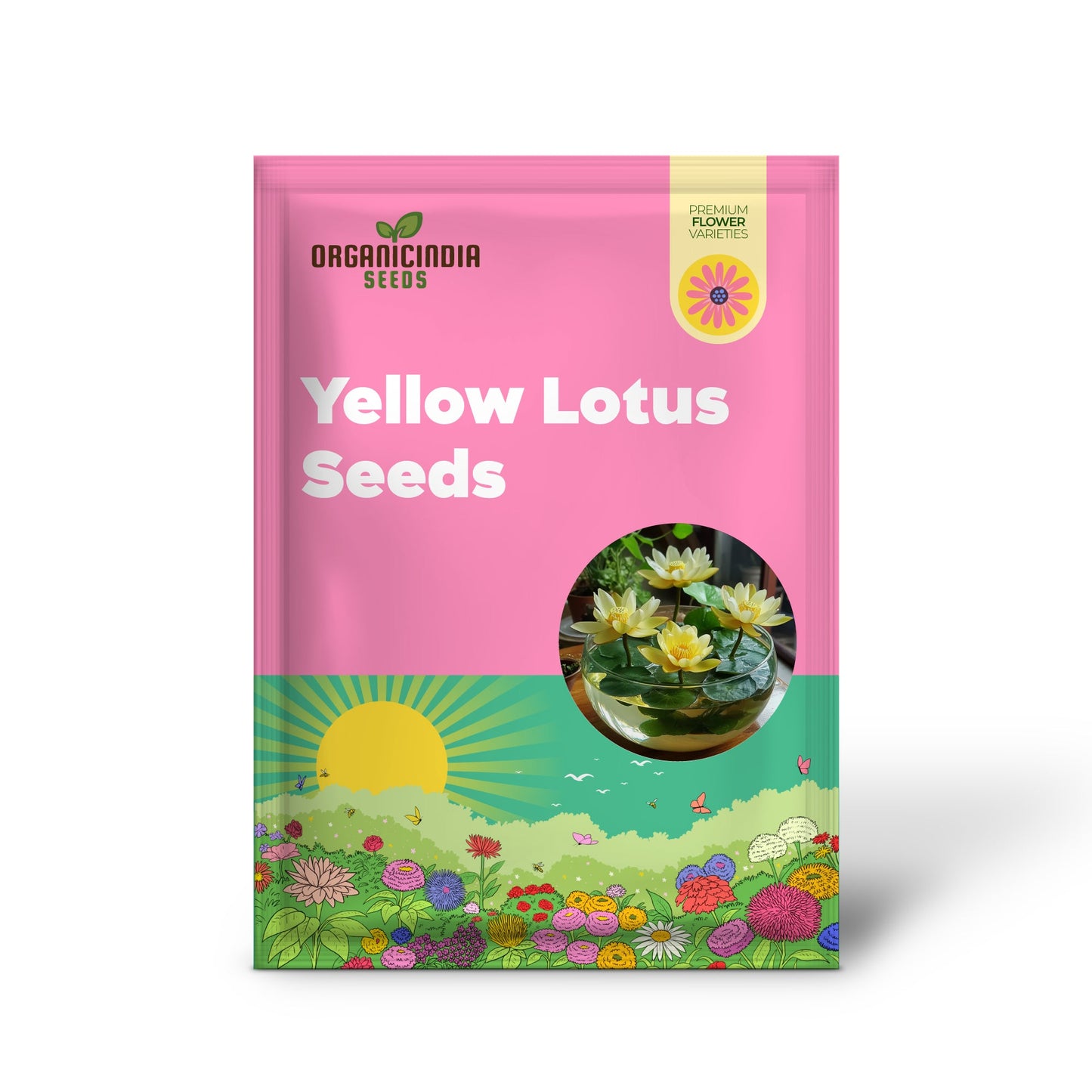 Premium Yellow Lotus Seeds, Grow Vibrant Lotus Blooms