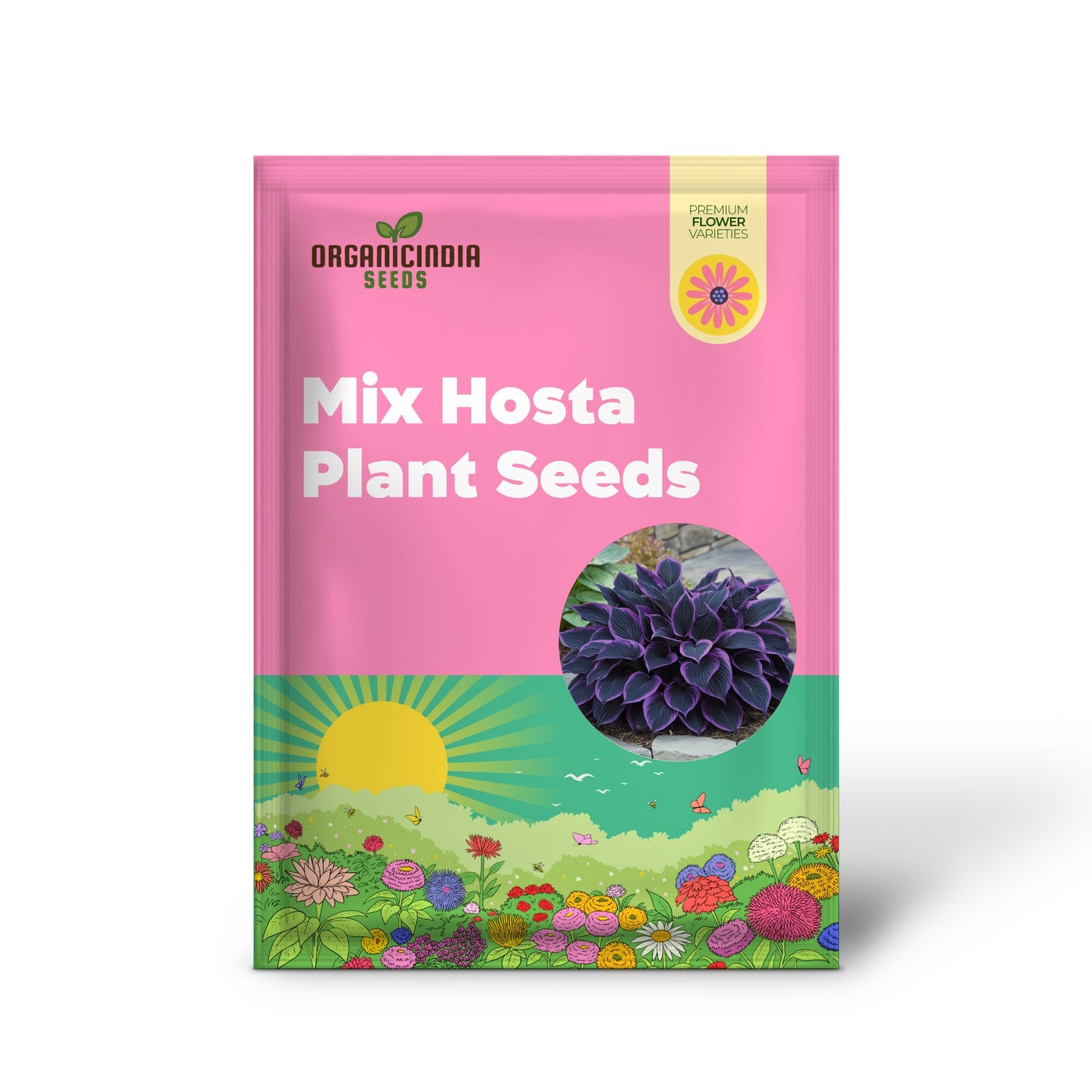 Rare Mix Hosta Plant Seeds, Purple Black, Exotic Shade Garden Beauty