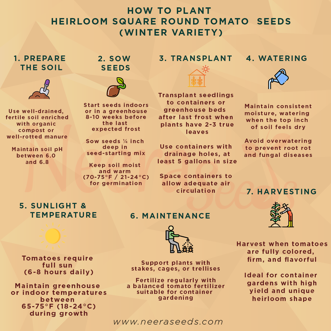 Heirloom Square Round Tomato (Winter Variety) Seeds for Planting – Non-GMO, High-Yield Vegetable Seeds for Home Garden & Containers