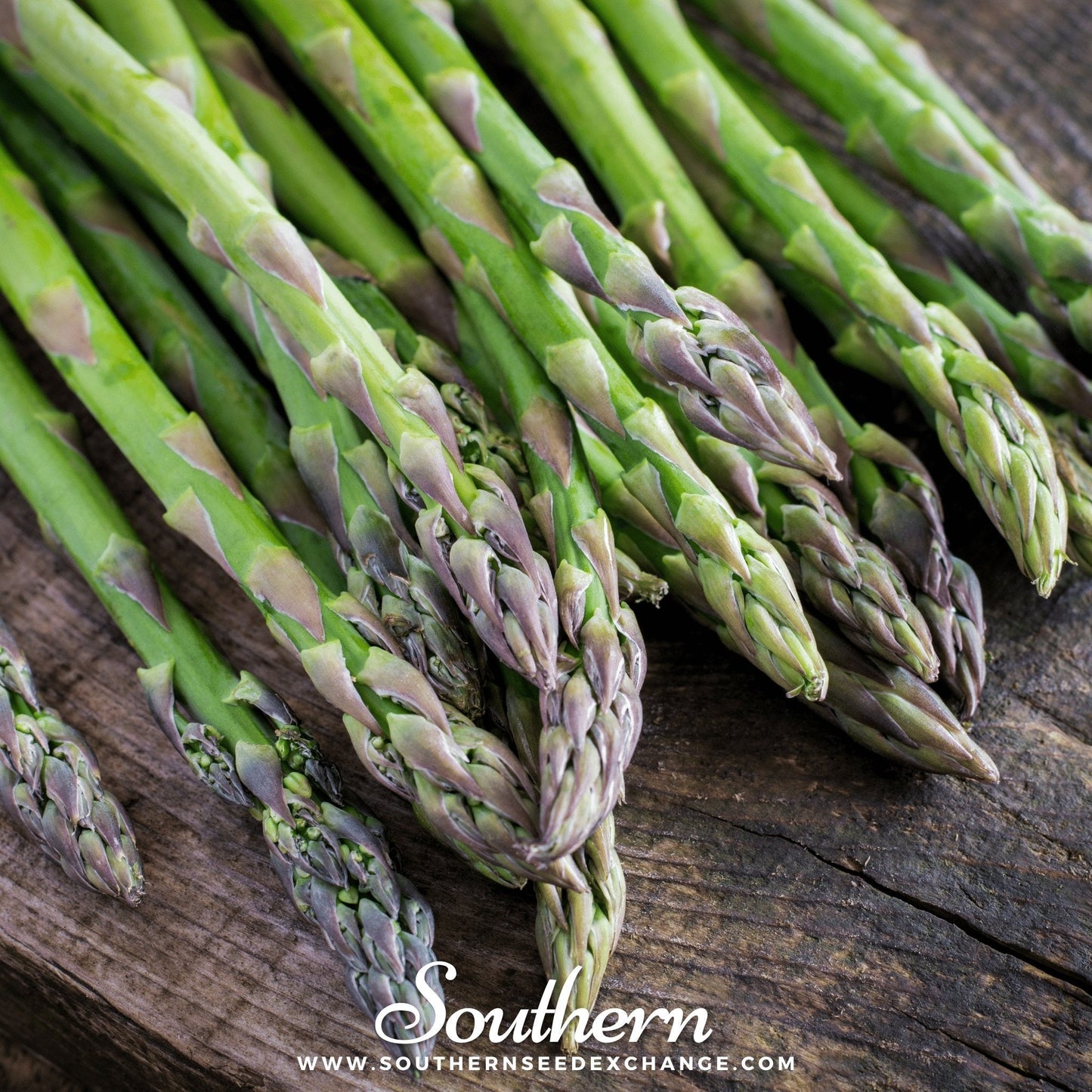Mary Washington Asparagus – 50 Seeds
