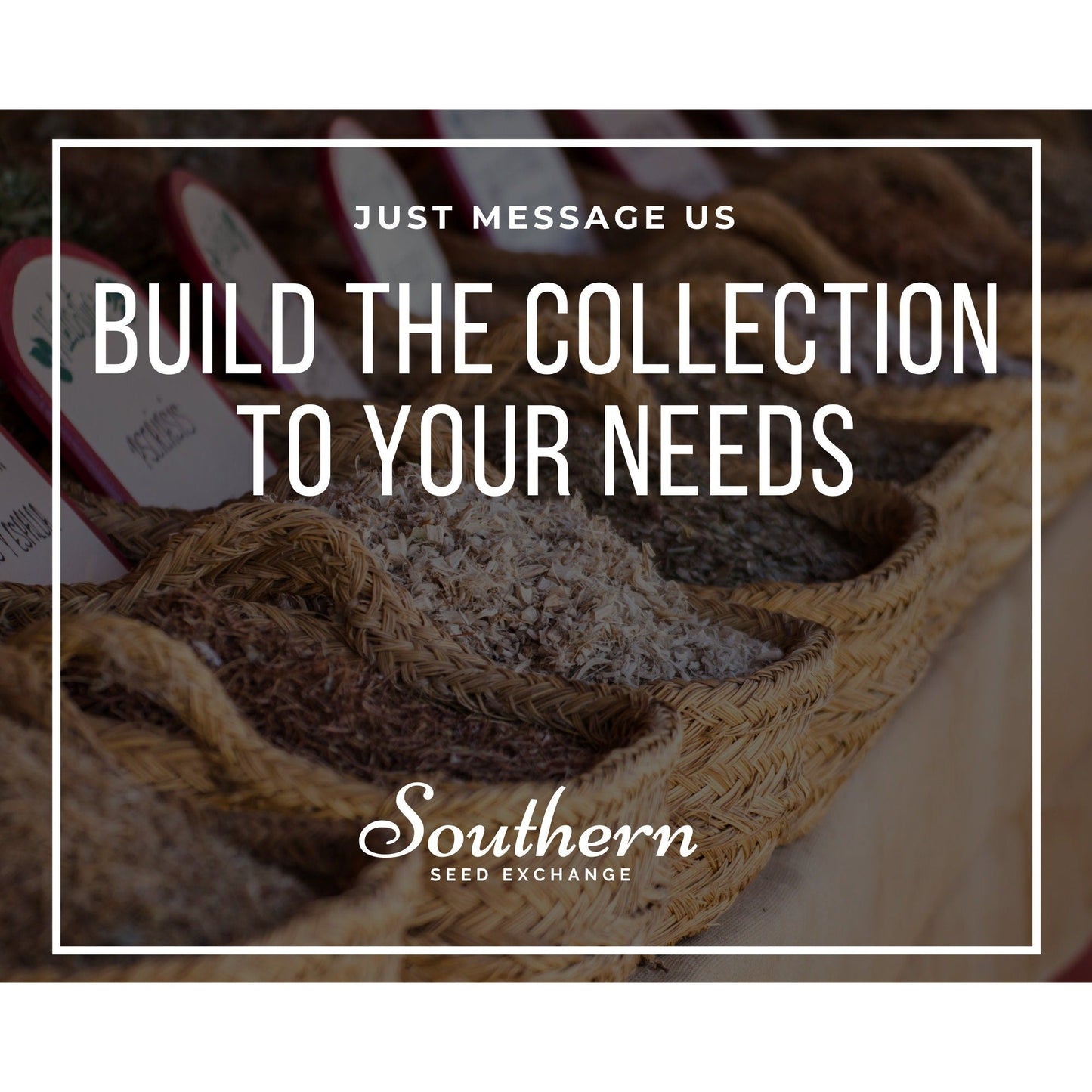 Butterfly Garden Seed Collection – 10 Varieties
