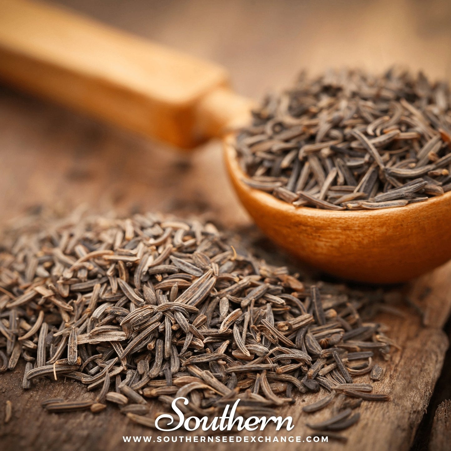 Cumin – 100 Seeds