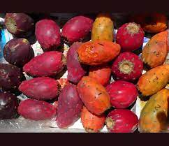 Cactus Pear Seeds for Planting – Heirloom, Non-GMO, Drought-Tolerant Fruit for Home Garden & Desert Landscaping