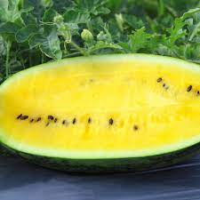 Yellow Crimson Watermelon Fruit Seeds – Heirloom, Non-GMO Seeds for Garden Planting