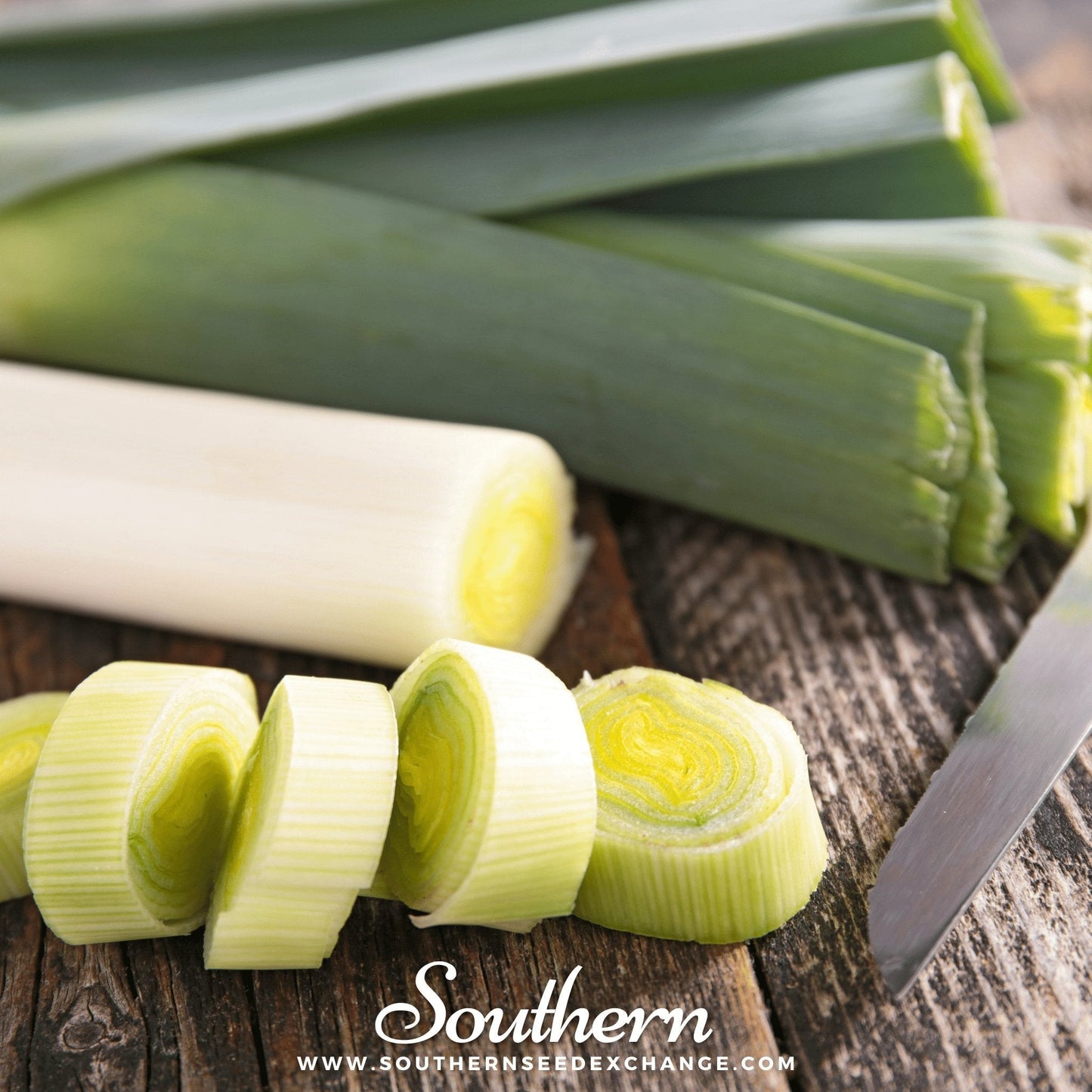 Giant Musselburgh Leek – 200 Seeds