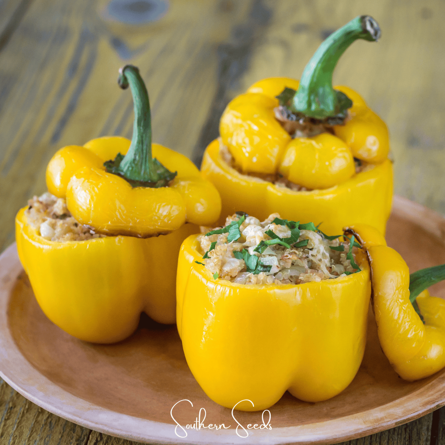 Sunbright Bell Pepper – 30 Seeds