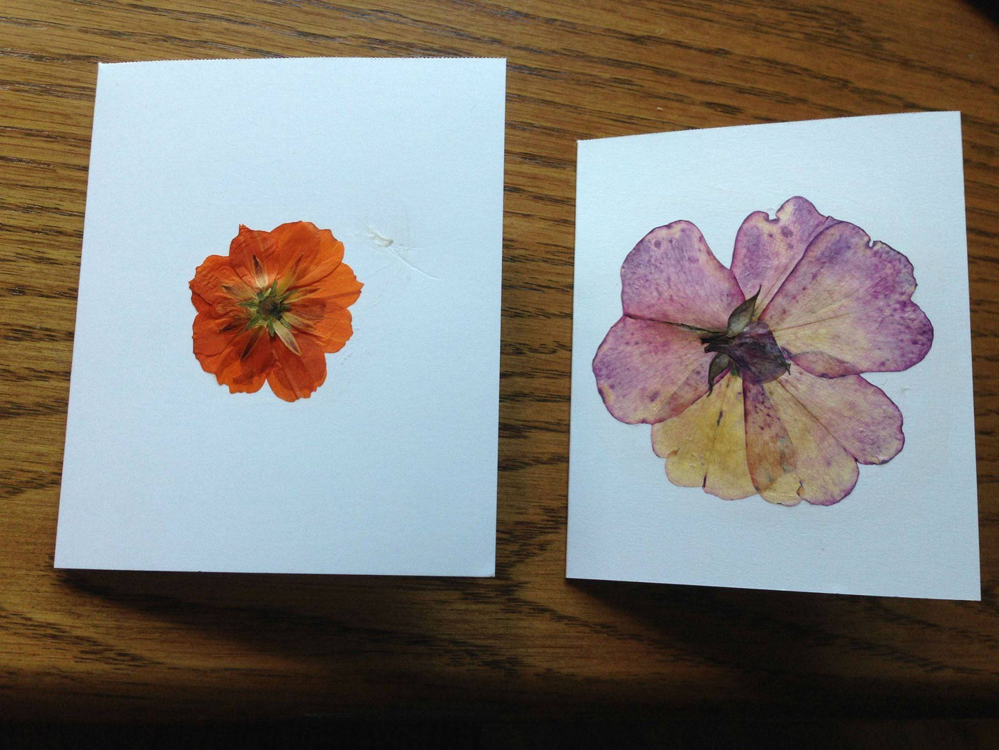 FLOWER PRESS Wooden Craft Tool