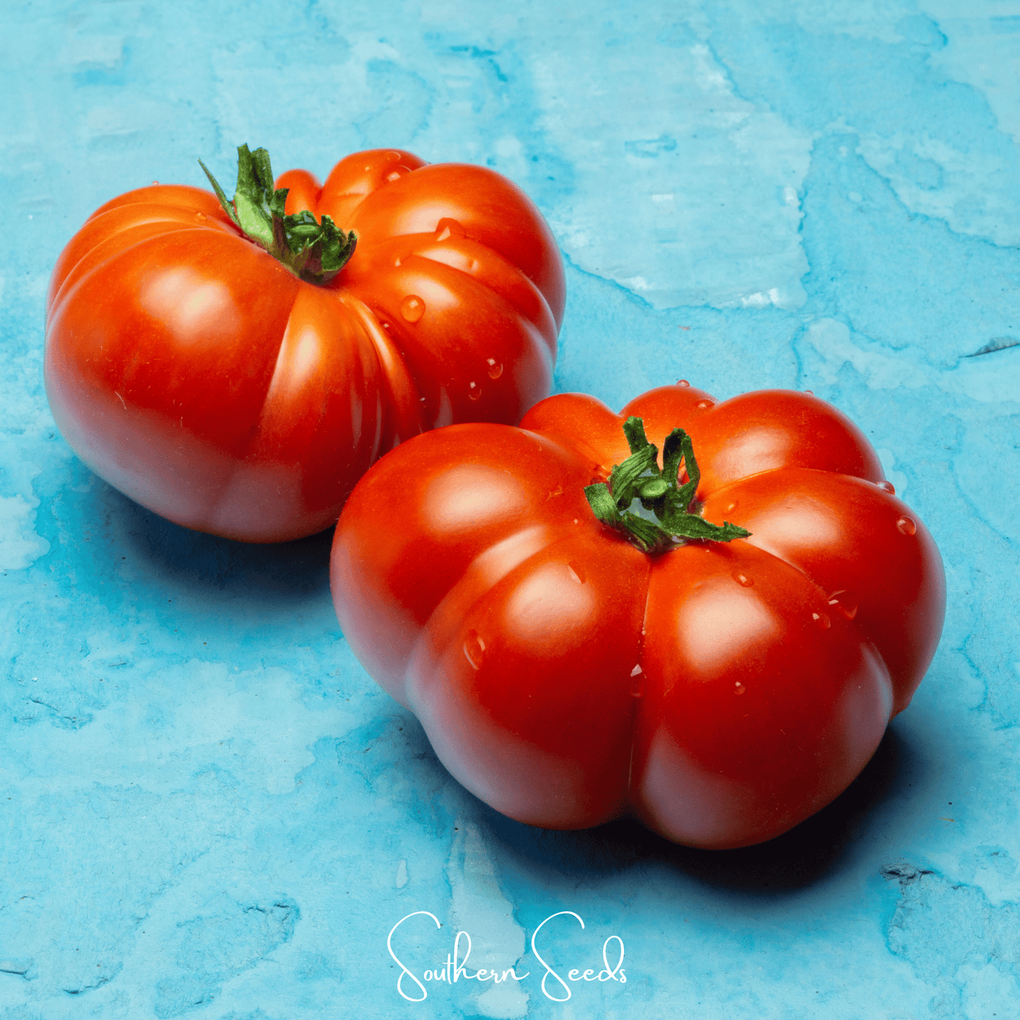 Red Brandywine Tomato – 50 Seeds