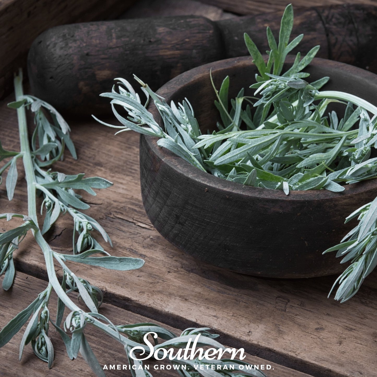 Wormwood – 200 Seeds