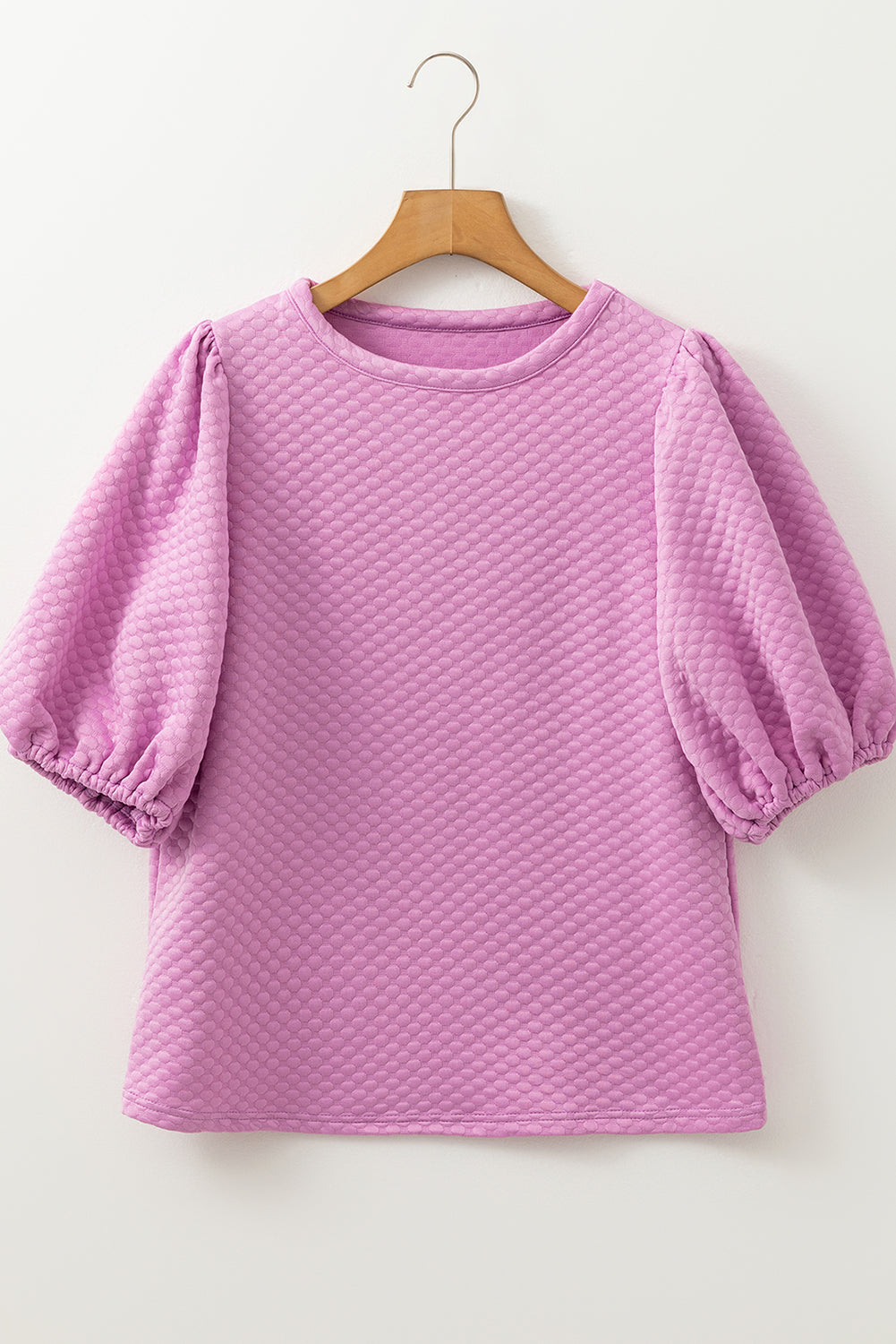 Solid Textured Round Neck Puff Sleeve Blouse
