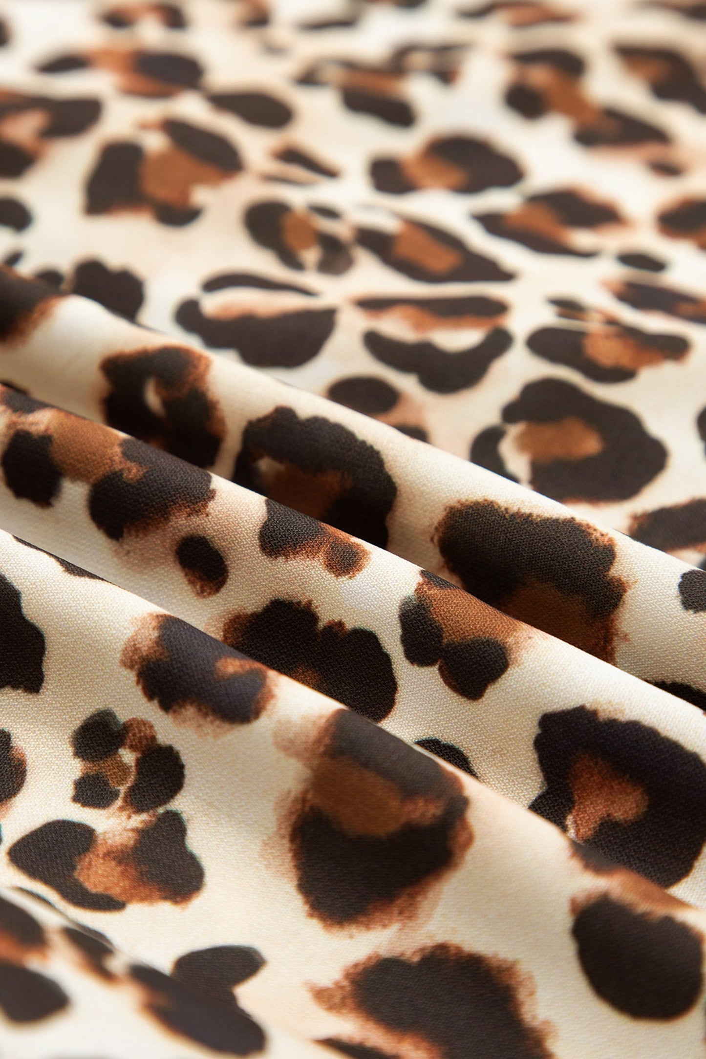 Leopard Stripe Trim V-Neck Mini Dress