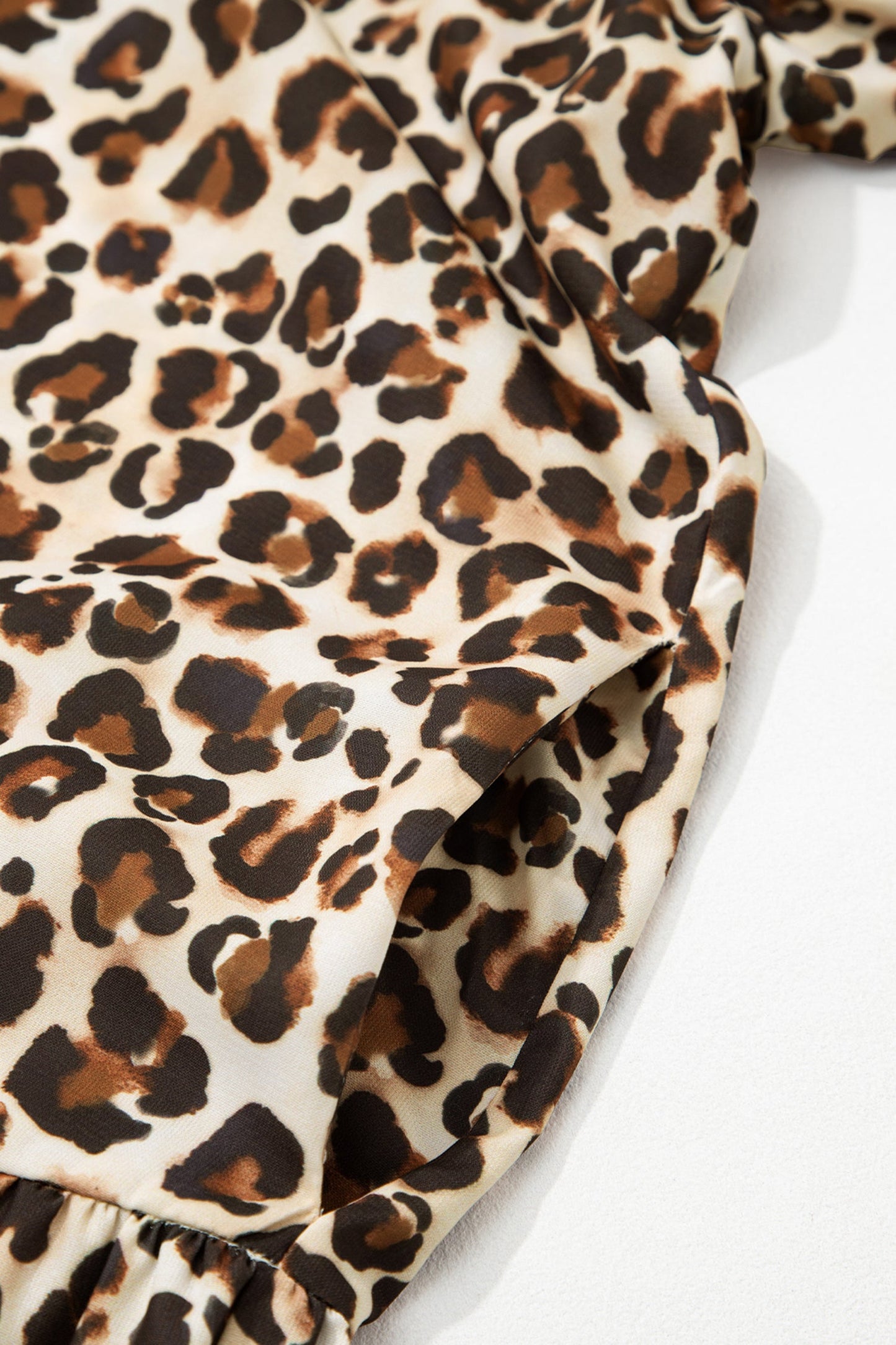 Leopard Stripe Trim V-Neck Mini Dress