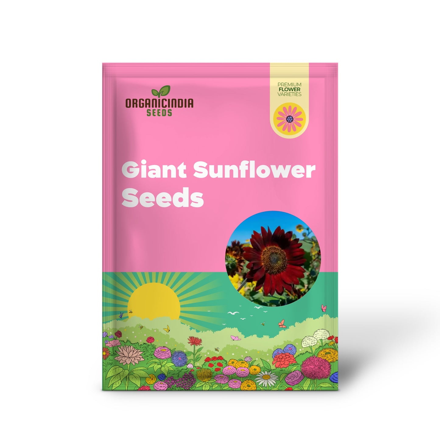 Grow Majestic Red Giant Sunflowers: The Ultimate Guide to Stunning Garden Blooms