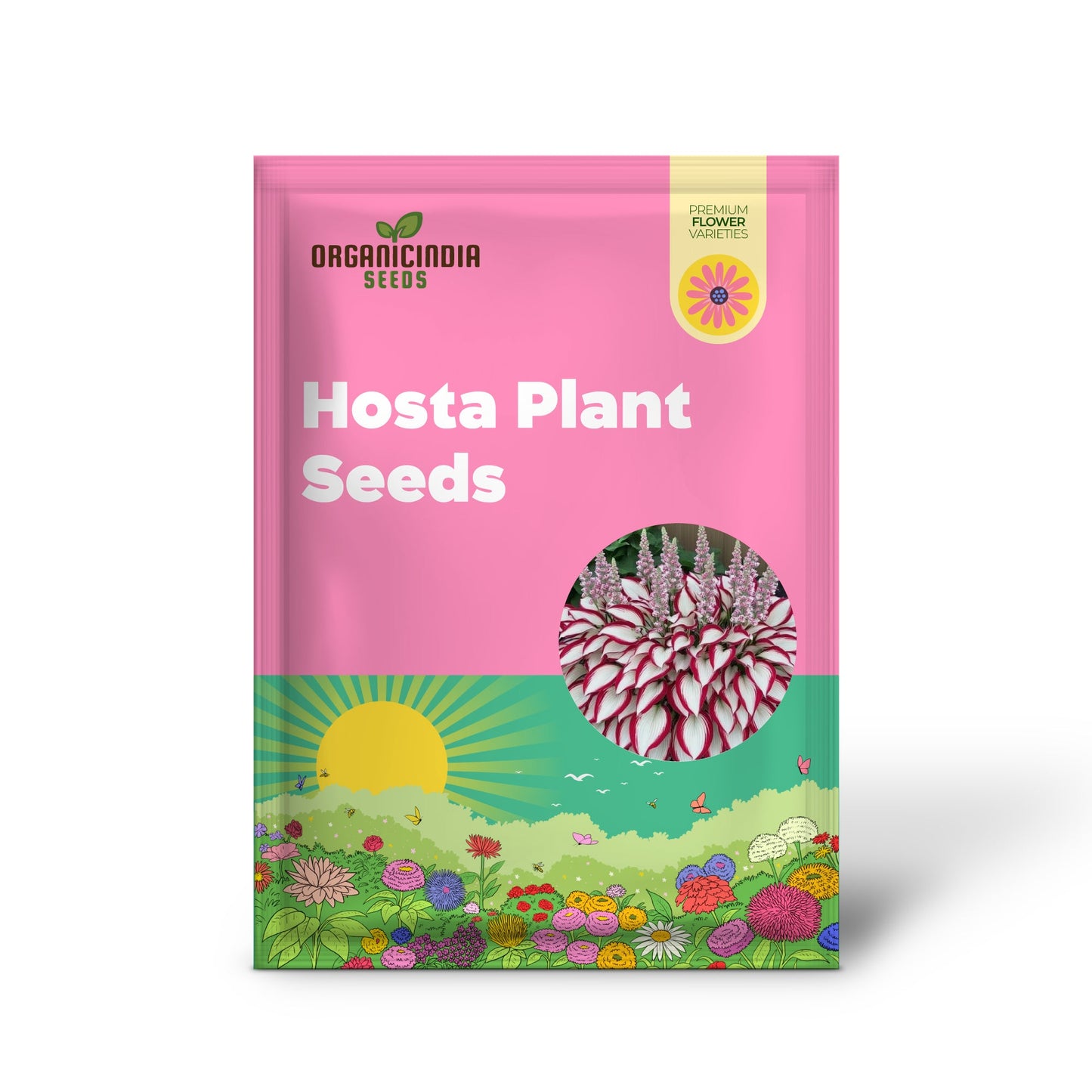 Hosta Plant Seeds White And Red