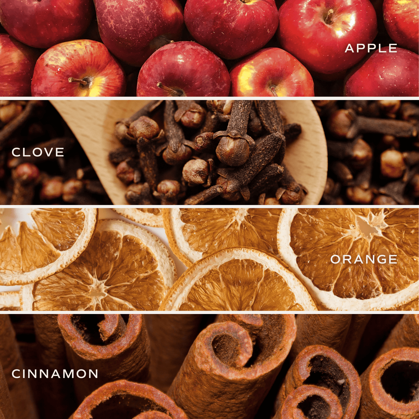 Trick or Treat Soy Candle - Orange Matte Jar - 15 oz (Farmhouse)