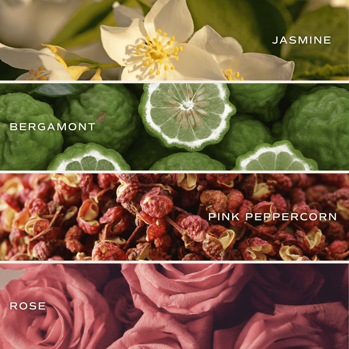 Flower Shop Soy Candle - White Jar - 11 oz