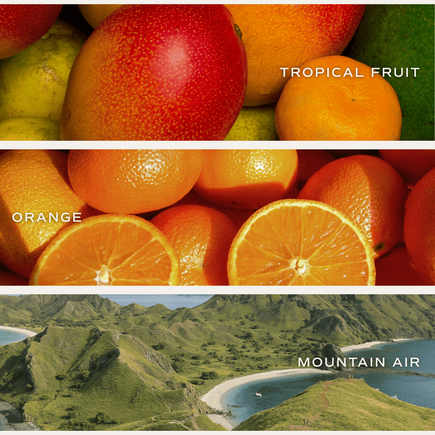 Island Air Hanging Air Freshener