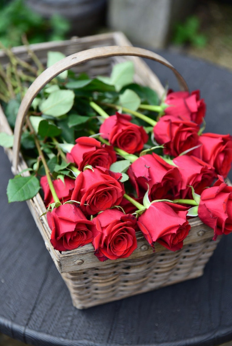 Loves Promise Rose 1.5 gallon Pot