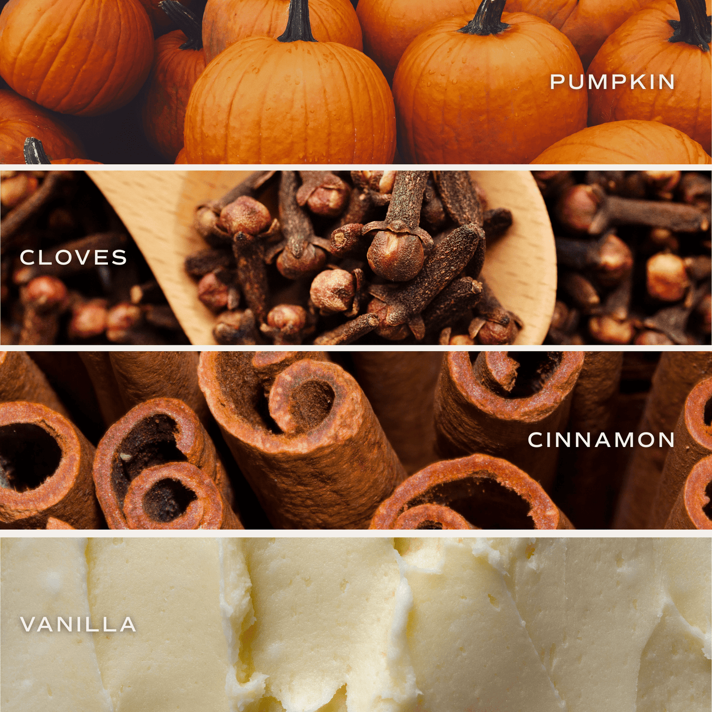 Pumpkin Spice Clear Reed Diffuser