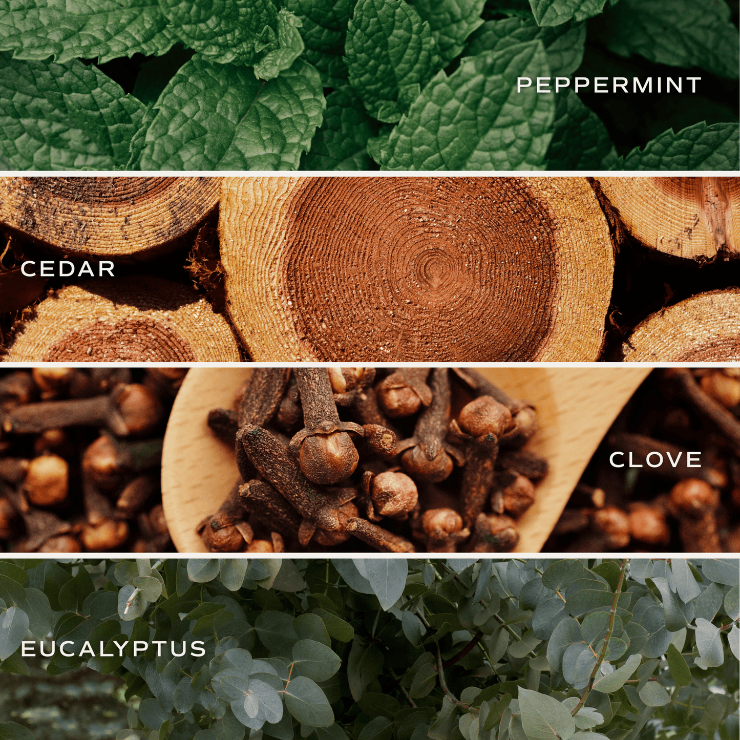 Relaxation Tinted Glass Jar Reed Diffuser