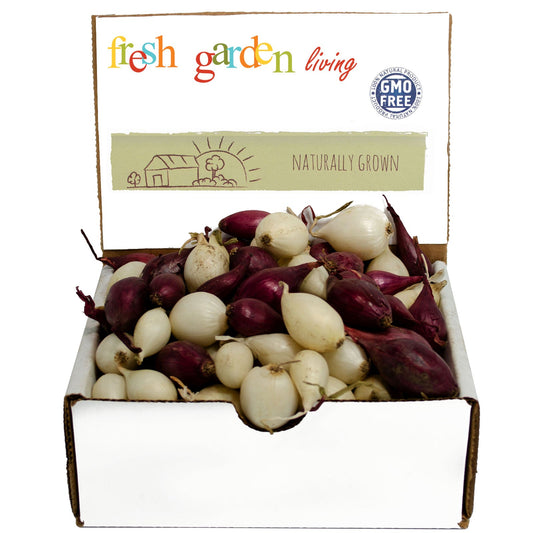 Mixed White Red Onion Sets 8 oz Bulbs Non-GMO
