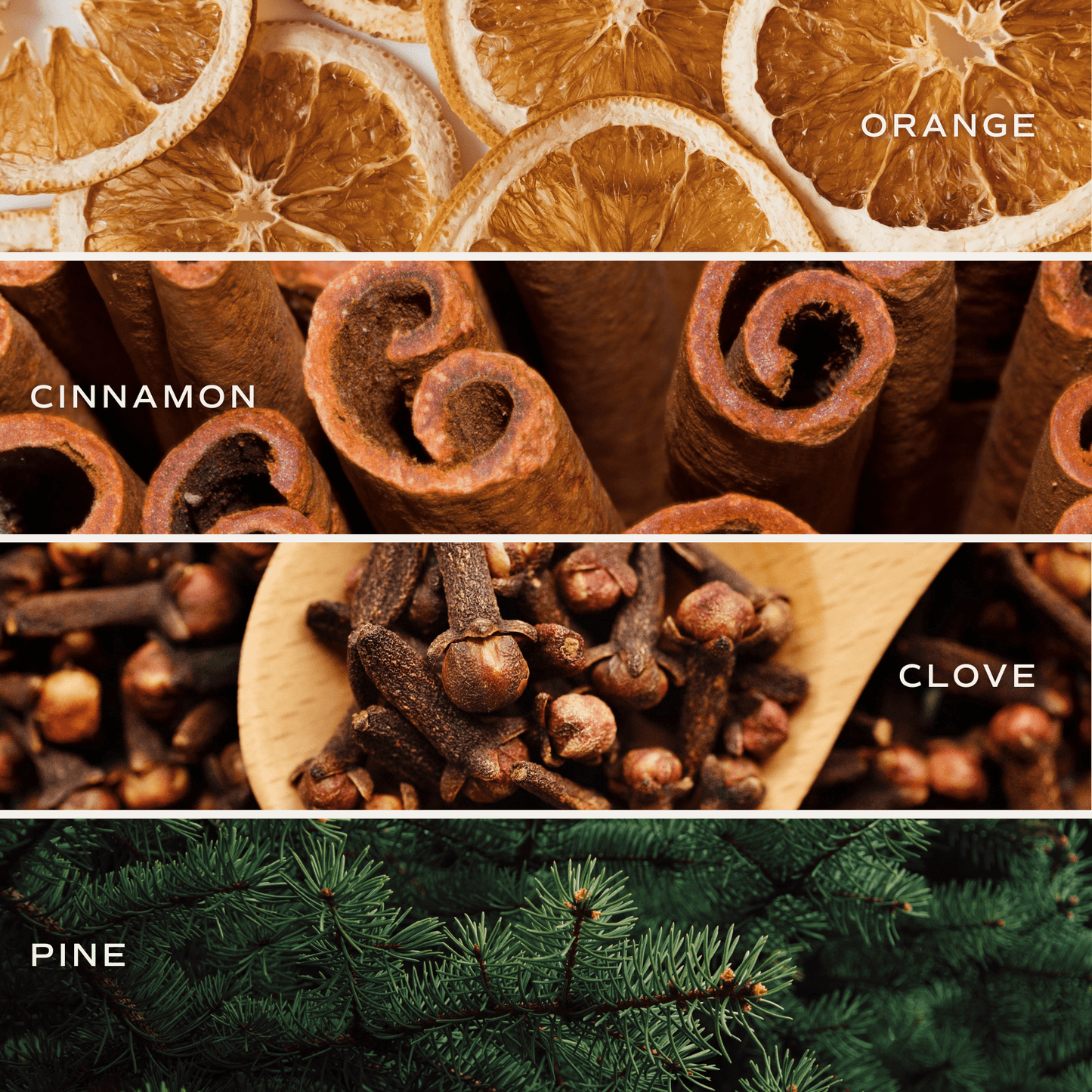 Warm and Cozy Amber Reed Diffuser