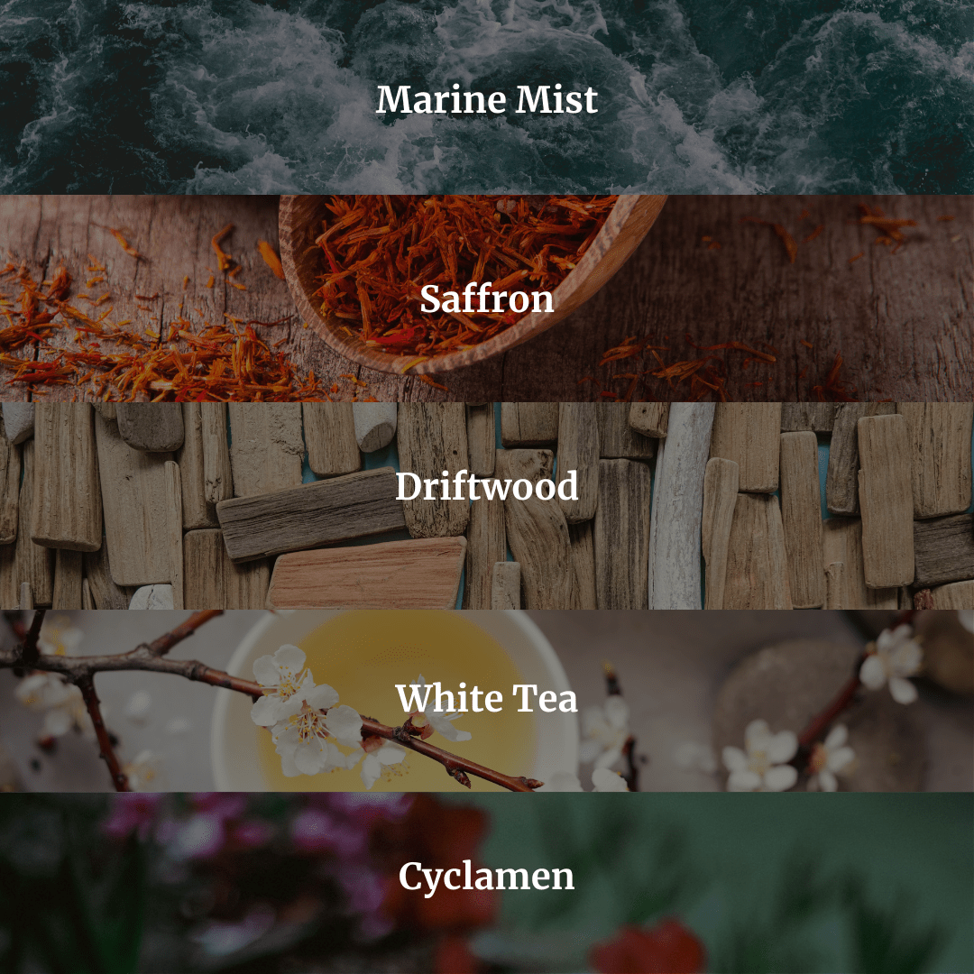 Beach Bungalow Candle 10.6 oz – Marine Air, Driftwood & White Tea