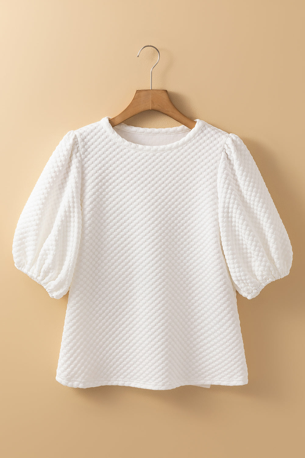 Solid Textured Round Neck Puff Sleeve Blouse