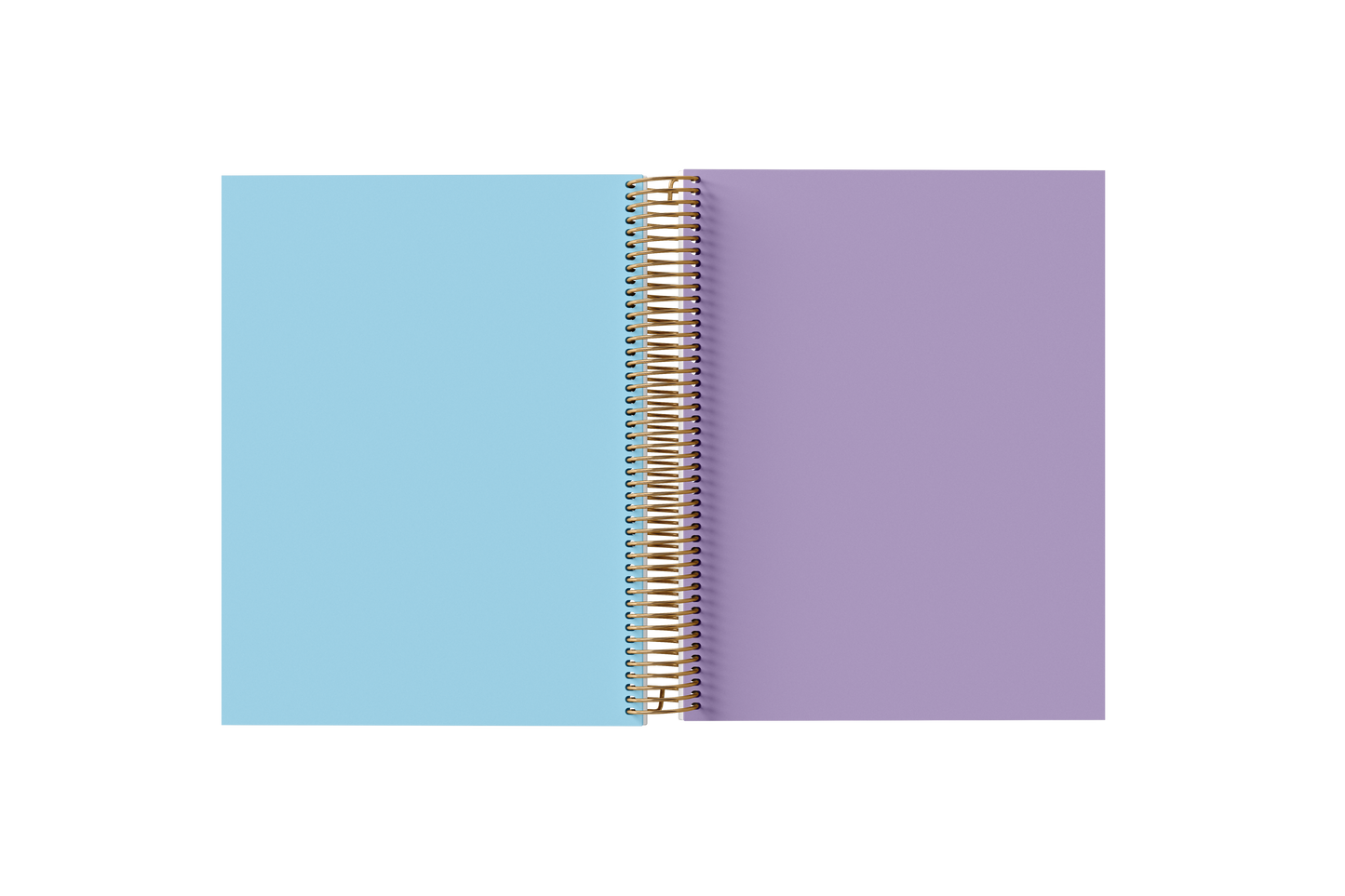 BLANK Paper Holographic Notebook by BERTEAU & Co.