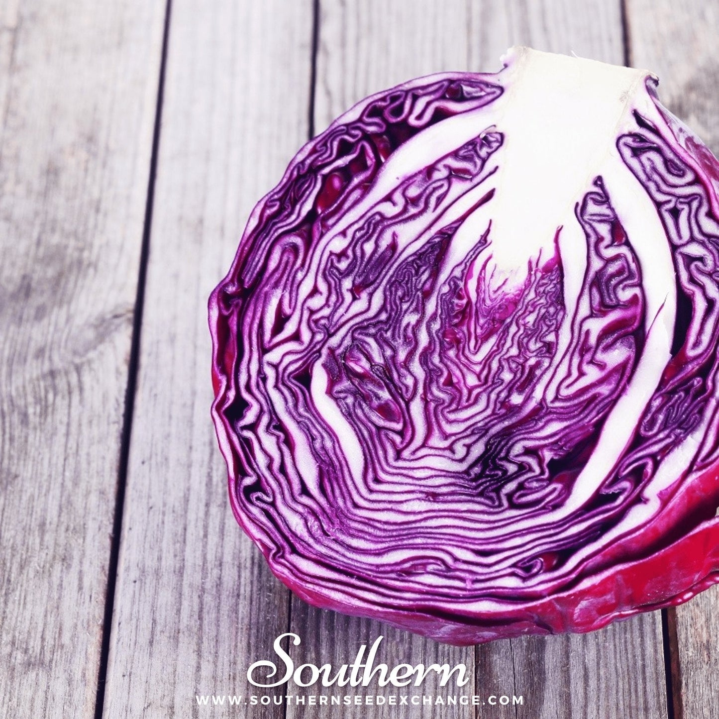 Red Acre Cabbage – 200 Seeds