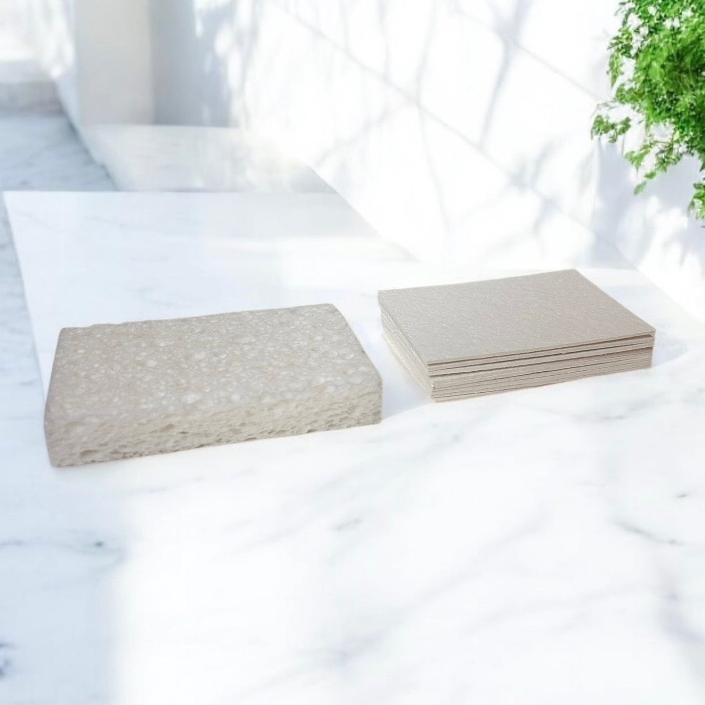 Cellulose Natural Cleaning Sponge