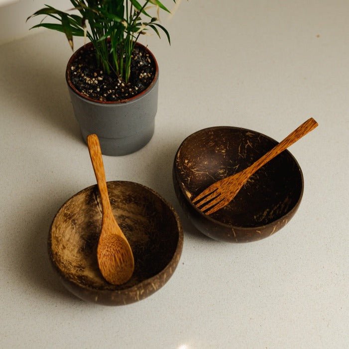 Coconut Bowl Set