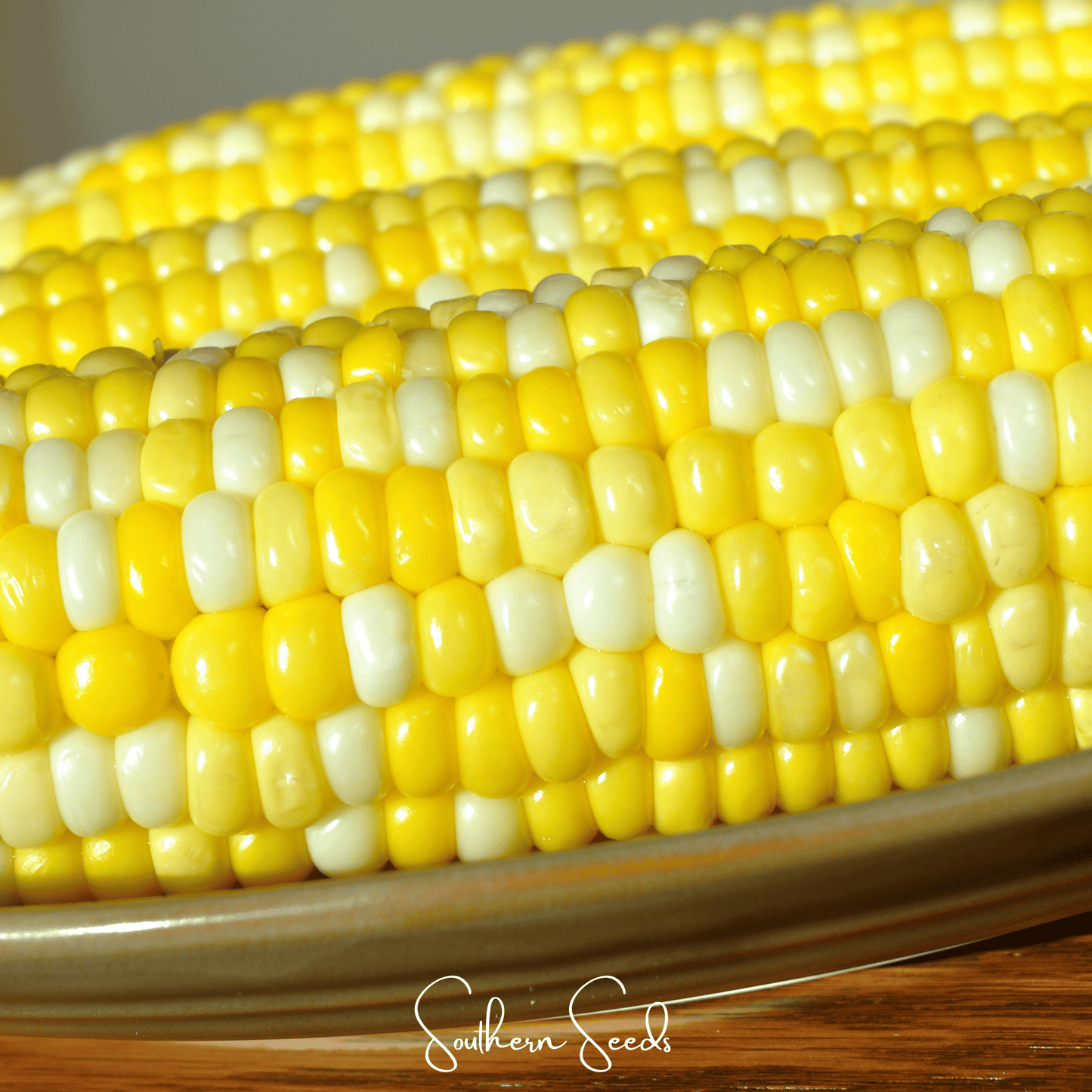 Ambrosia Corn – 30 Seeds