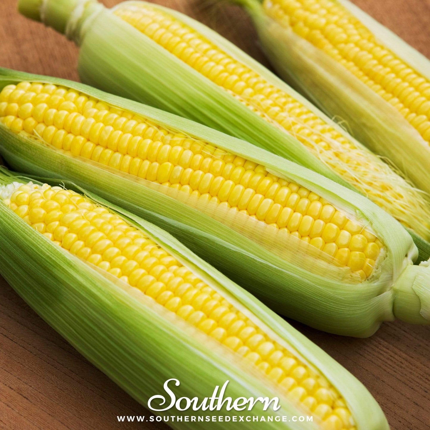 Bantam 12 Row Corn – 60 Seeds