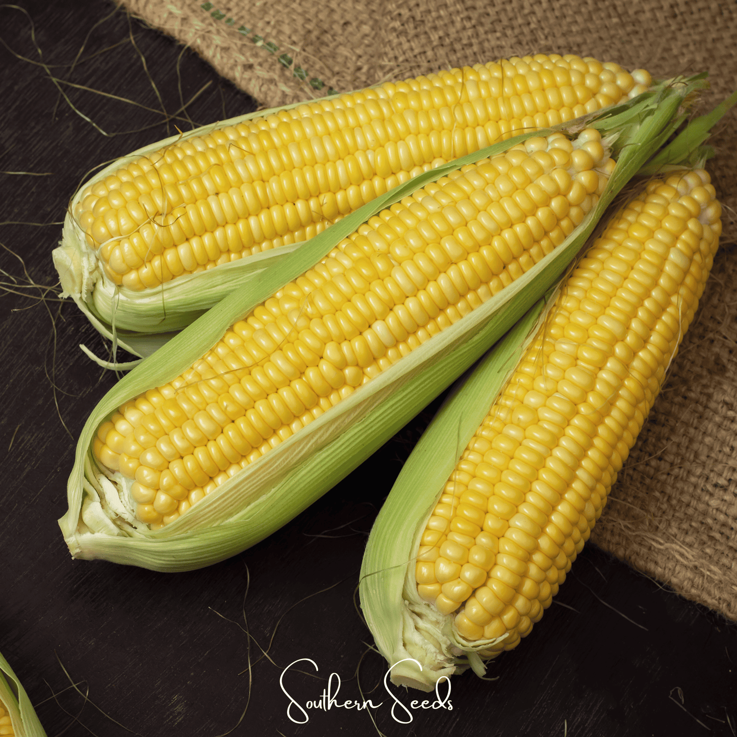 Kandy Korn Corn – 60 Seeds